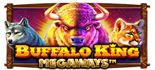 The Plains King of North America returns with the Megaways format in Buffalo King Megaways™. With 200,704 ways to win, this slot game features desert animals next to each other. Golden Buffalo unlocks free spins rounds, with a multiplier of up to 5x during the bonus round.