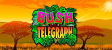 Popular legend has it that ancient communication in the mysterious African interior was through drum beat signals, later known as the bush telegraph for which this game is named. If you enjoy smooth, fast play and thrilling bonuses and reward features, you're going to love this exciting new video slot and it's uniquely African setting that captures the vibrancy, colour and exotic wildlife of the jungle.